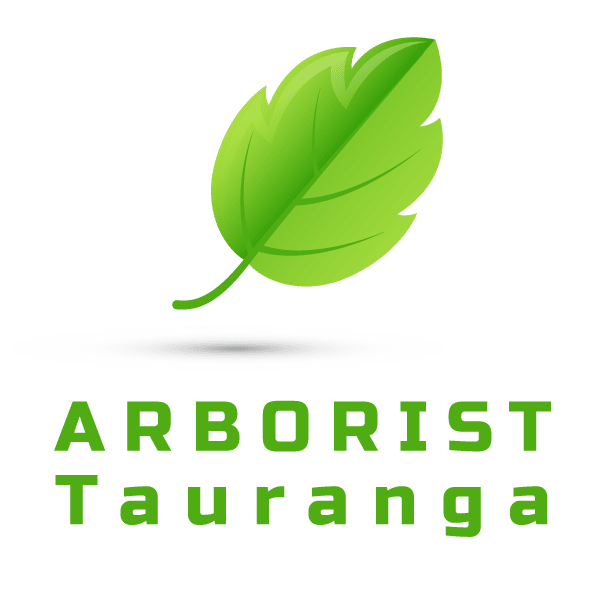 arborist tauranga bay of plenty nz